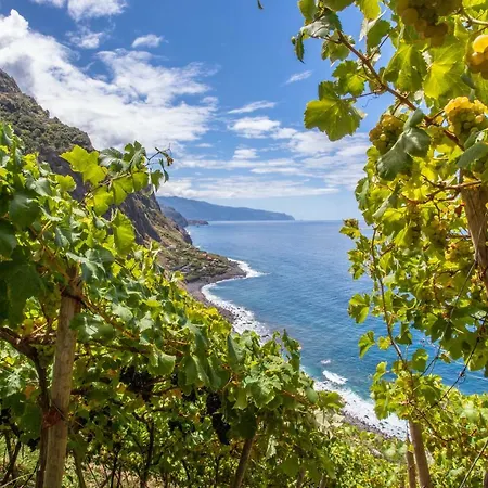 Rouge - By Mhm Villa Calheta (Madeira)